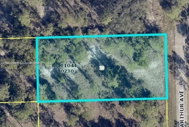 2321 Macarthur Ave, Lehigh Acres, FL 33920 — zdjęcie 2