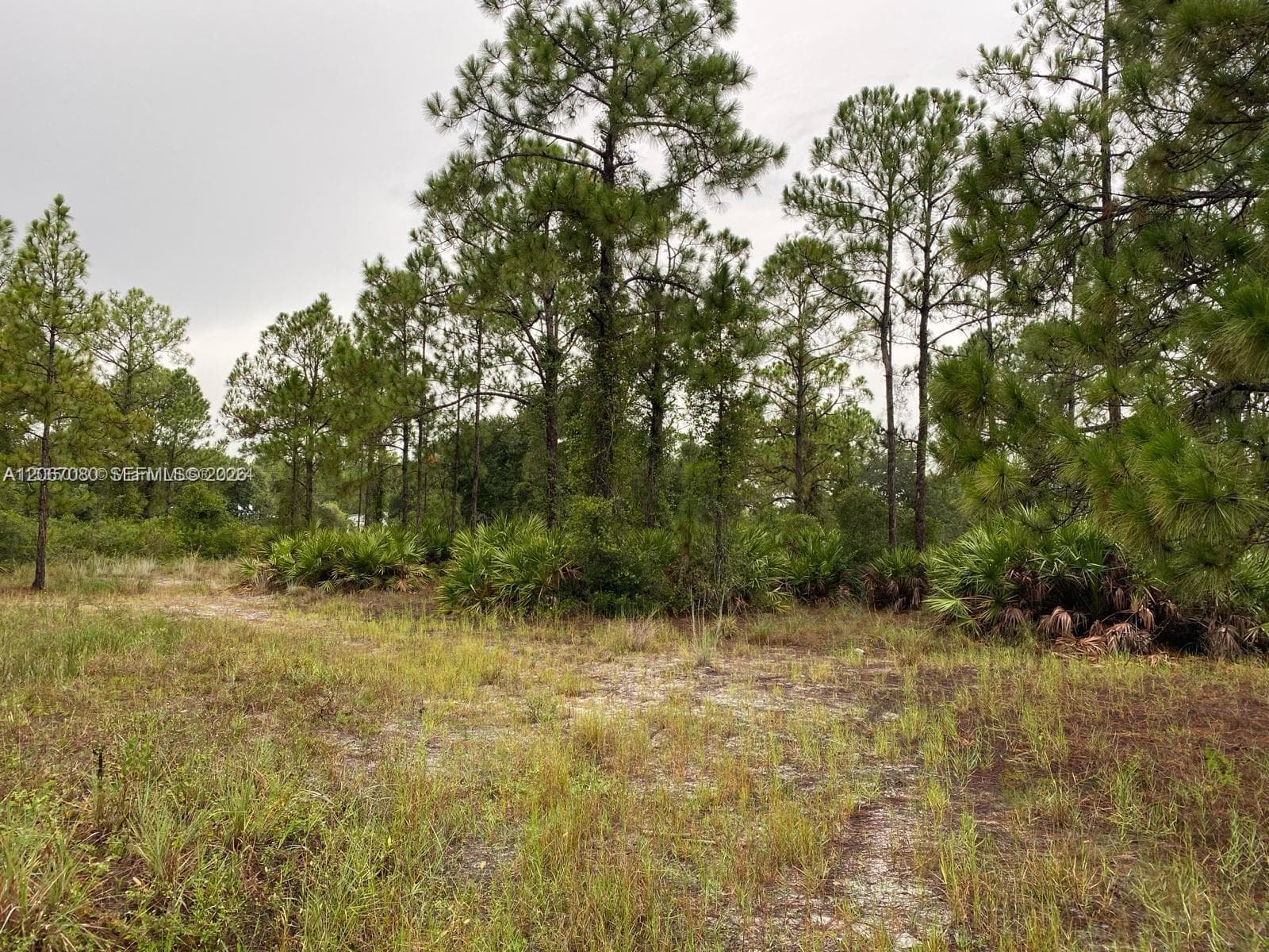 2321 Macarthur Ave, Lehigh Acres, FL 33920 — zdjęcie 3
