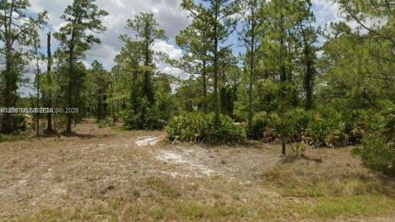 2321 Macarthur Ave, Lehigh Acres, FL 33920
