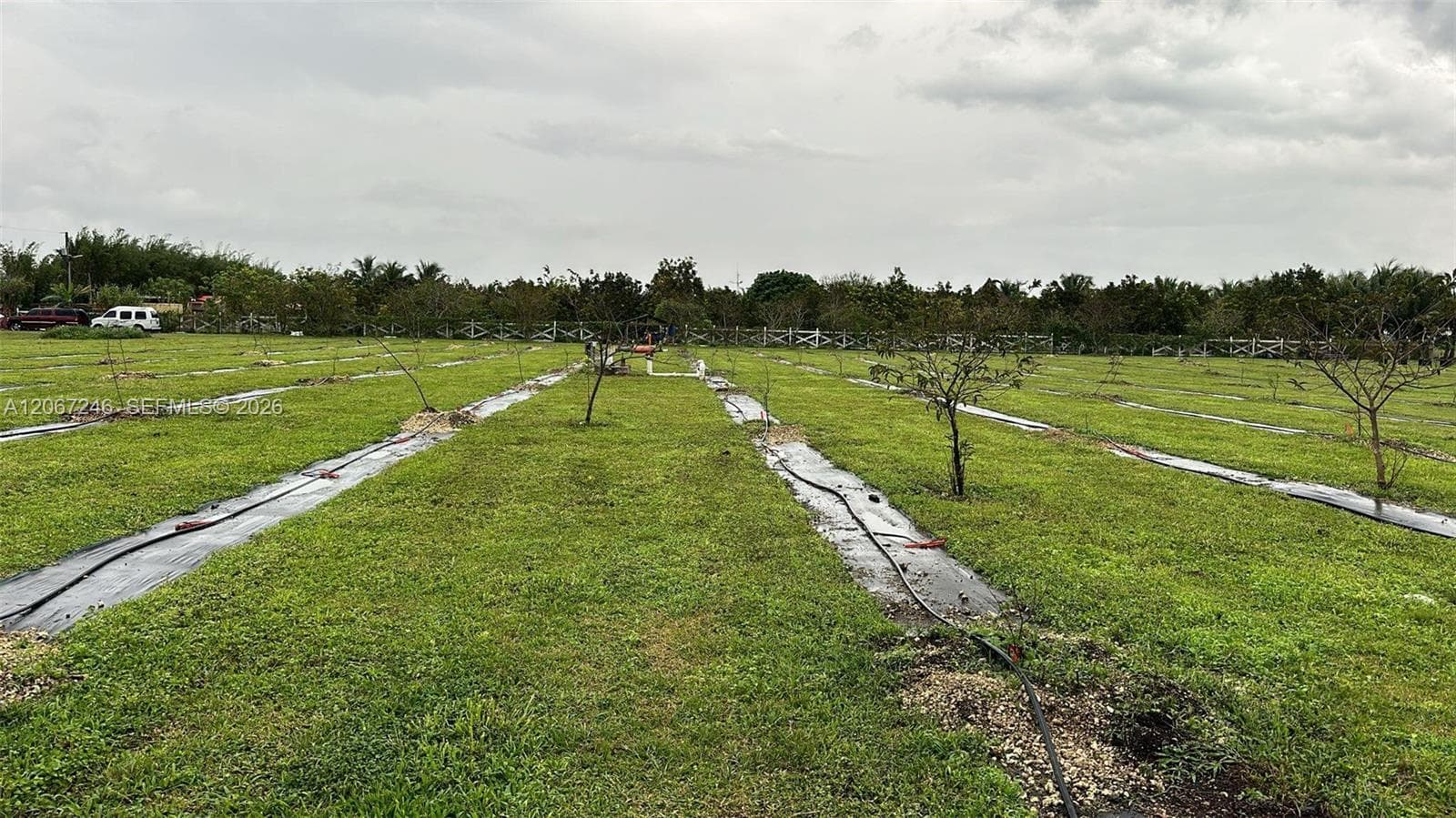 22901 SW 218 Ct, Miami, FL 33170 — zdjęcie 2
