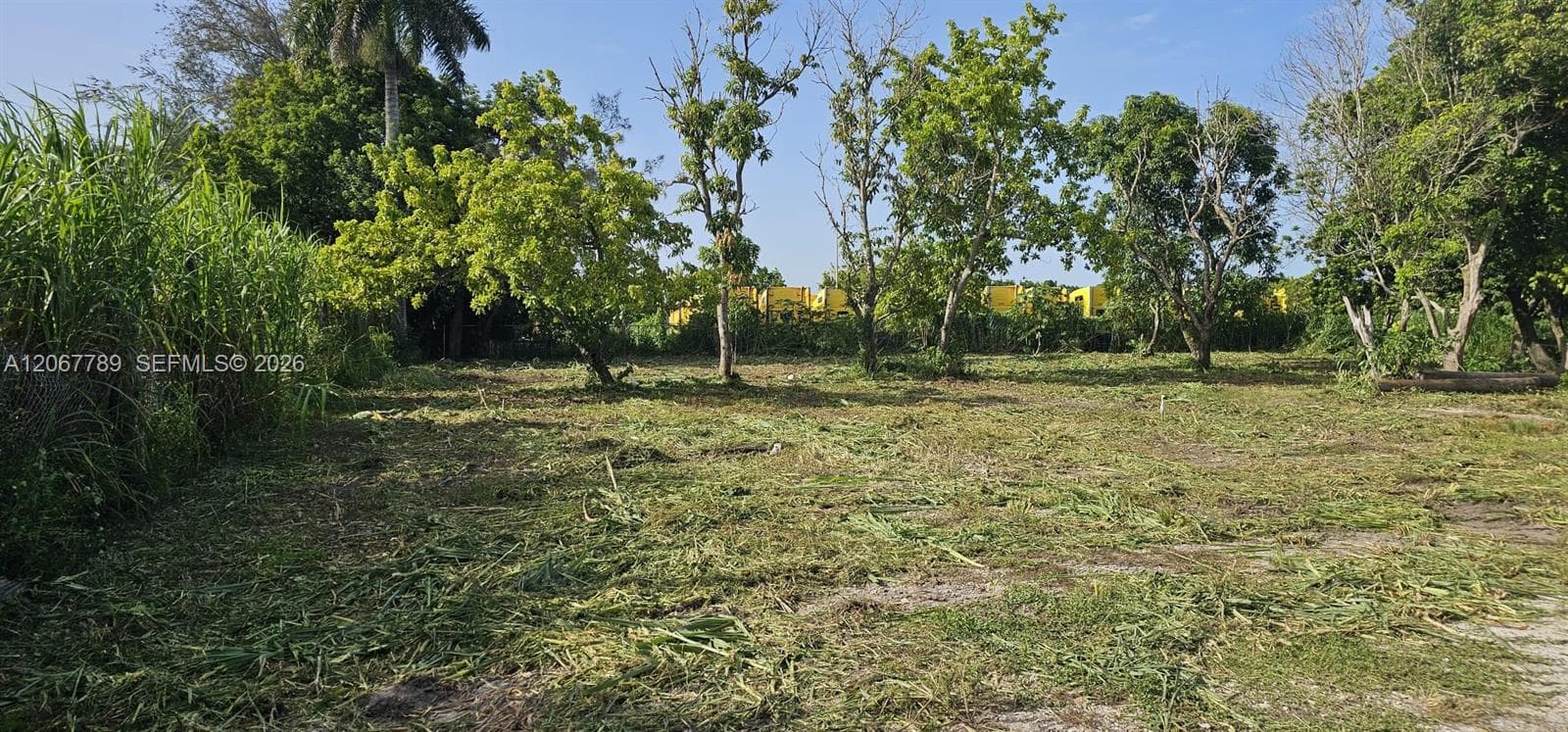 197 Ave / SW 144th Street, Miami FL 33196