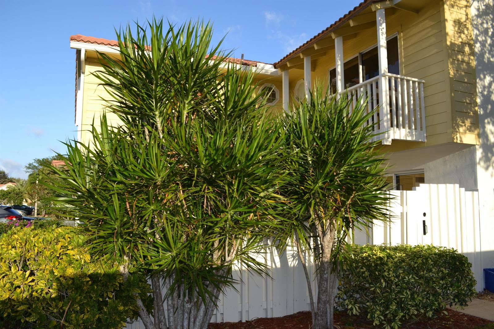 176 Seabreeze Circle, Jupiter, FL 33477 — zdjęcie 3