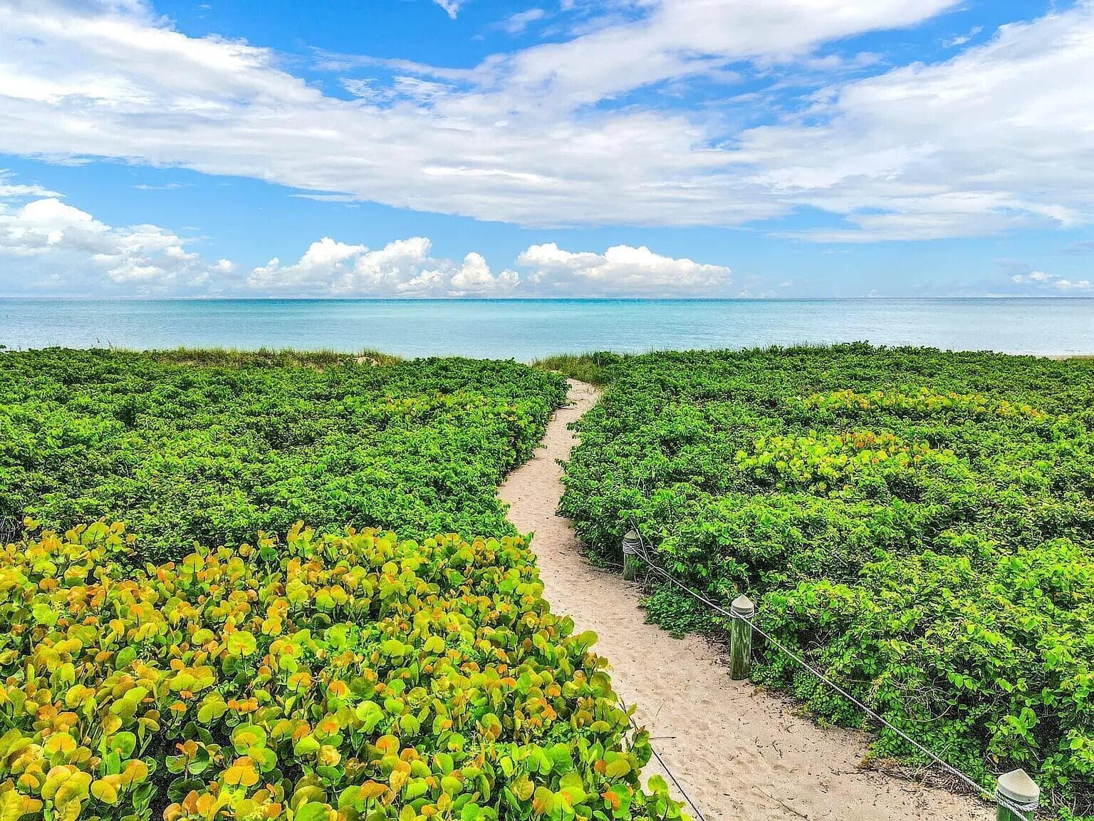 1550 S OCEAN Drive # 15, Fort Pierce, FL 34949 — zdjęcie 3