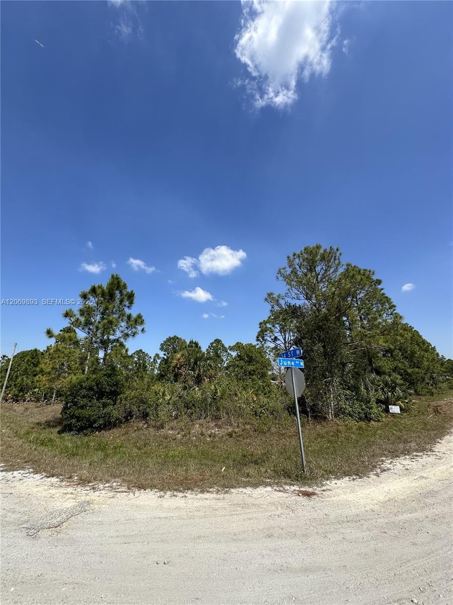 3401 June Ave N, Lehigh Acres, FL 33971 — zdjęcie 2