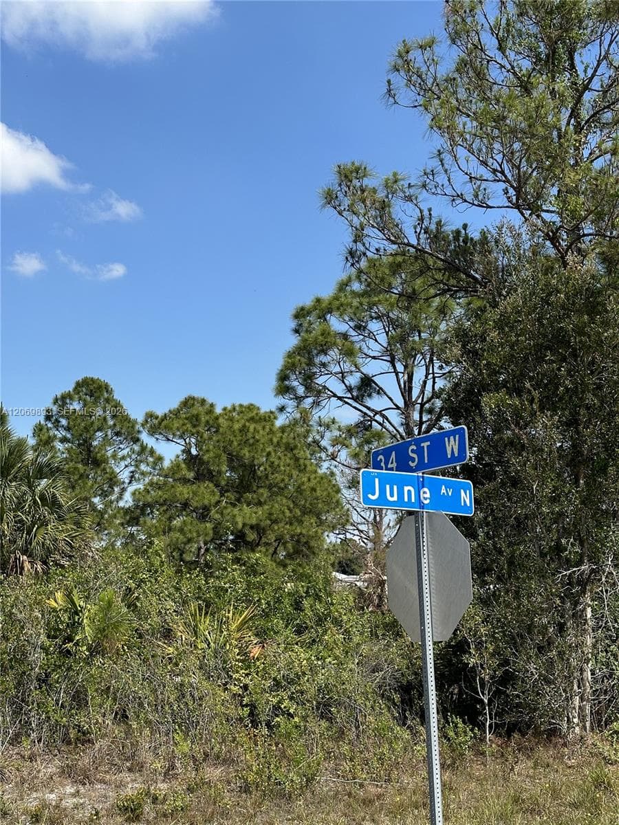3401 June Ave N, Lehigh Acres, FL 33971 — zdjęcie 3