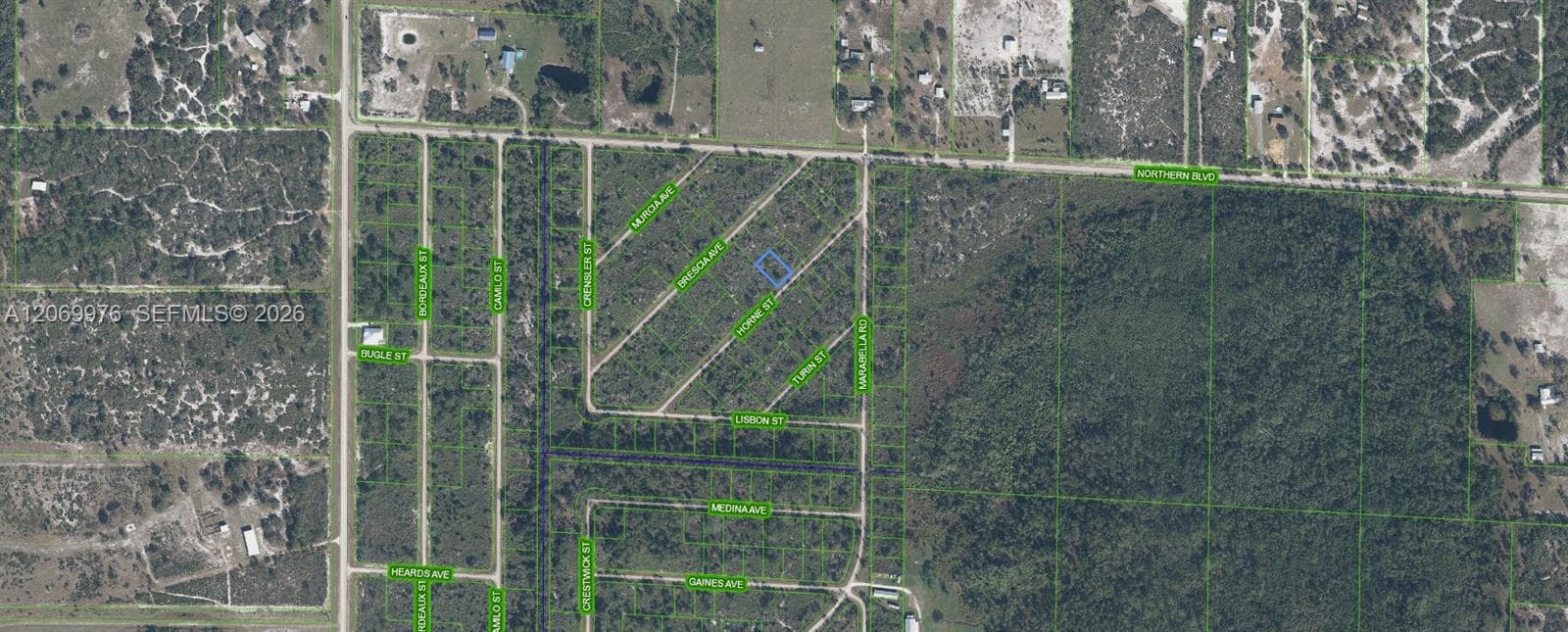 3451 Lake June, Lake Placid, FL 33852 — zdjęcie 2