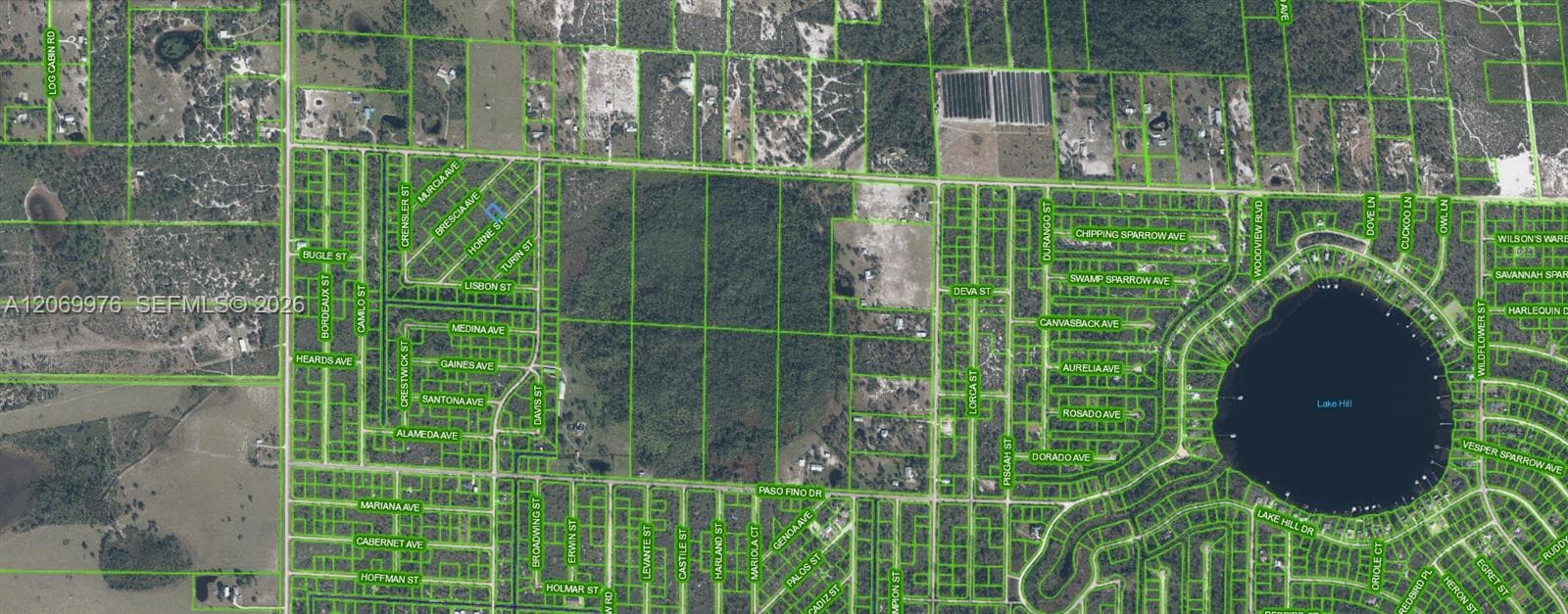 3451 Lake June, Lake Placid, FL 33852 — zdjęcie 3