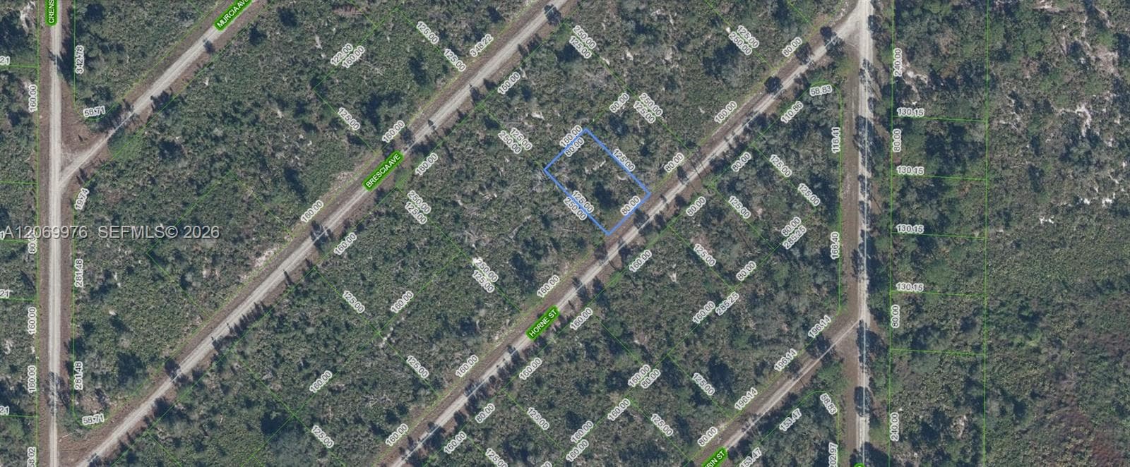 3451 Lake June, Lake Placid, FL 33852