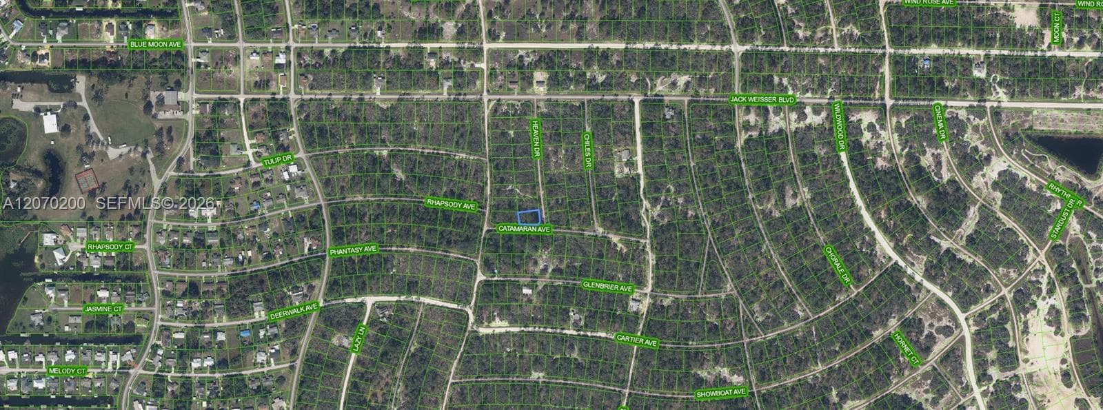 416 HEAVEN DRIVE, Lake Placid, FL 33852 — zdjęcie 2