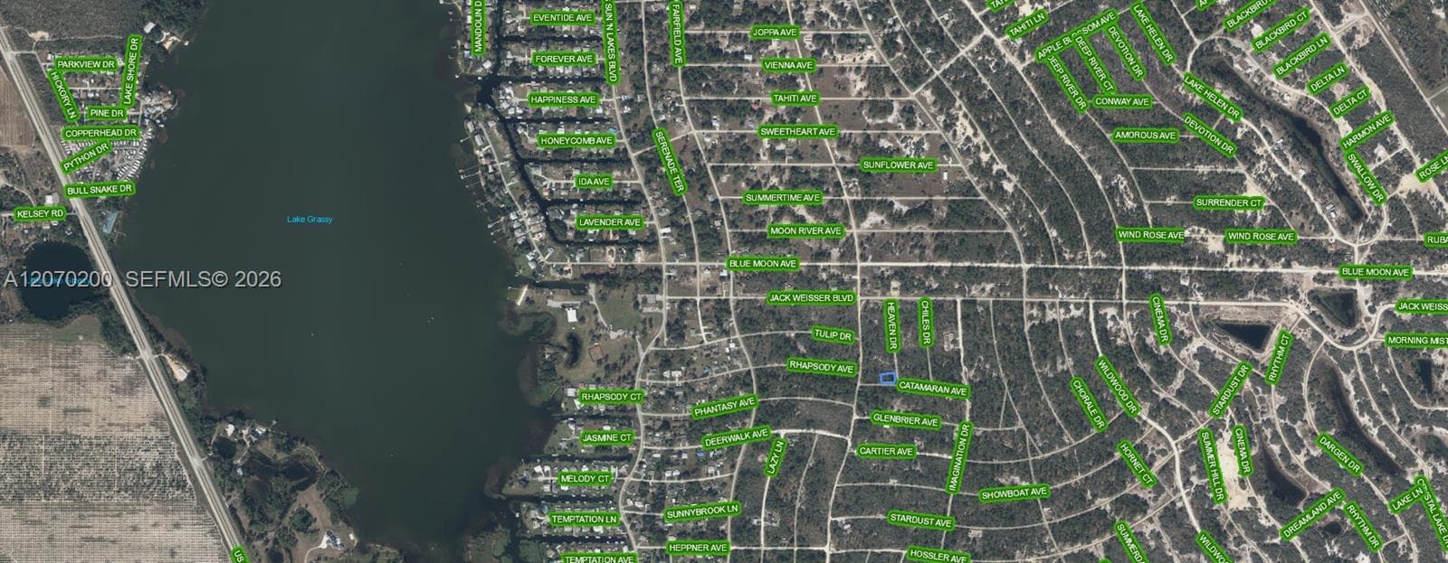 416 HEAVEN DRIVE, Lake Placid, FL 33852 — zdjęcie 3
