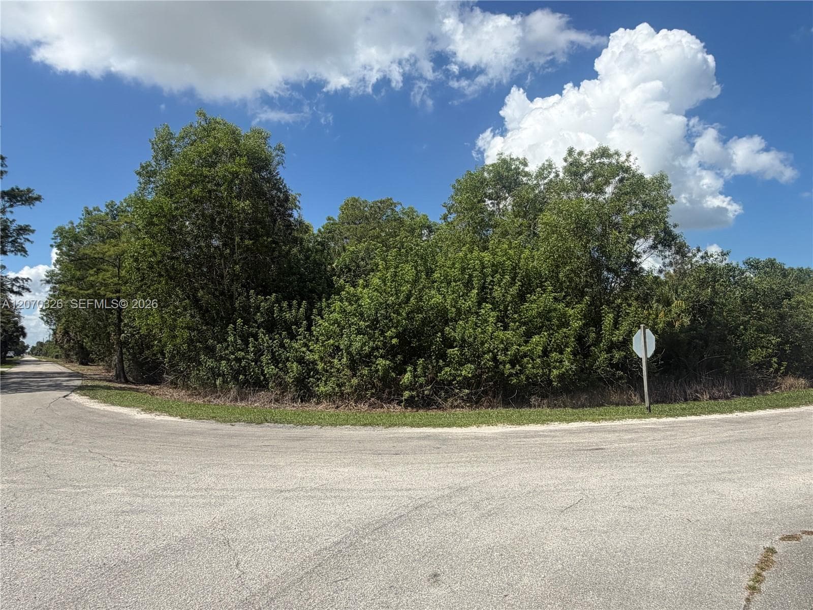 19556 Black Falcon Rd, Loxahatchee, FL 33470 — zdjęcie 3