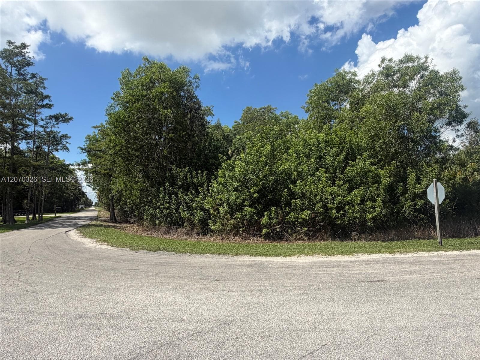 19556 Black Falcon Rd, Loxahatchee, FL 33470 — zdjęcie 4