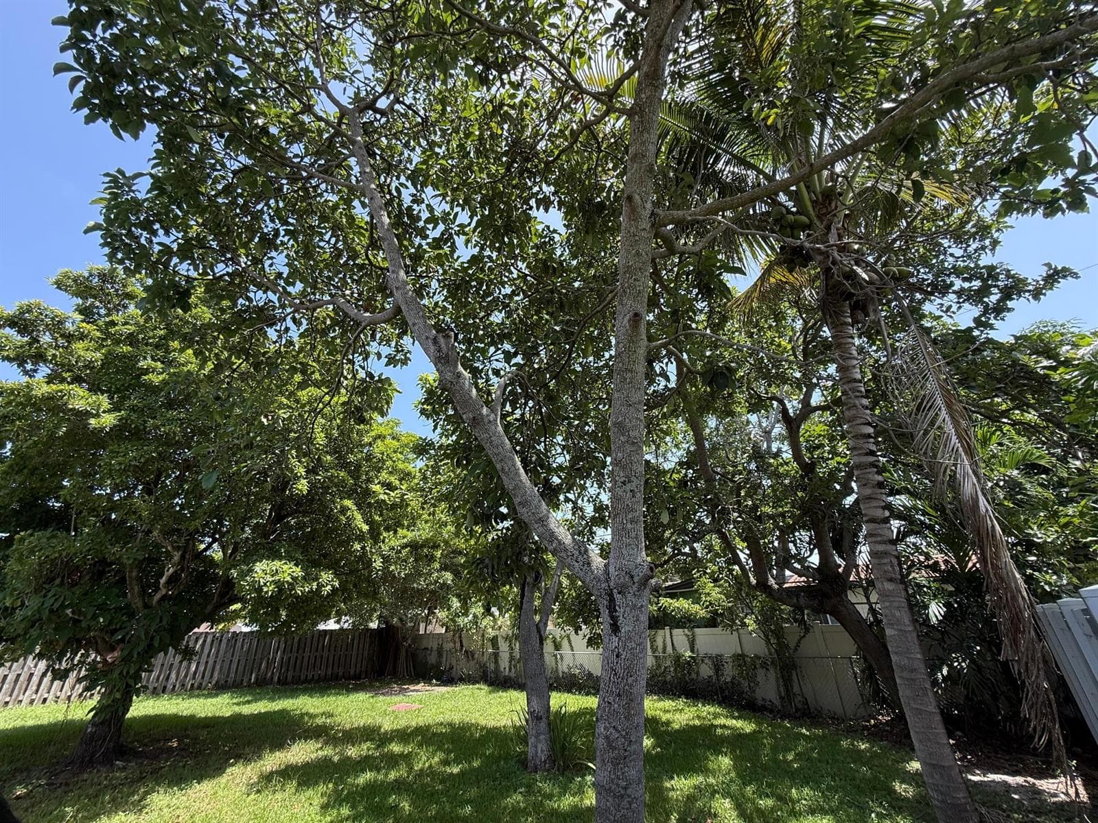 637 SW 2ND Street, Hallandale Beach, FL 33009 — zdjęcie 4