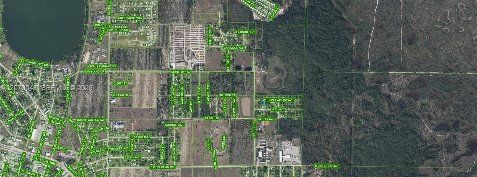4527 Weeping Willow, Sebring, FL 33870 — zdjęcie 3
