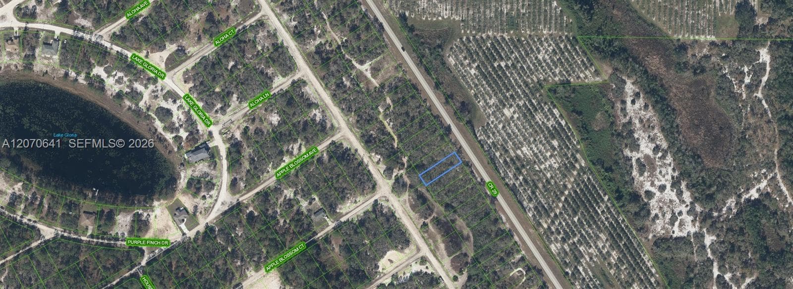 903 COUNTY ROAD 29, Lake Placid, FL 33852 — zdjęcie 2