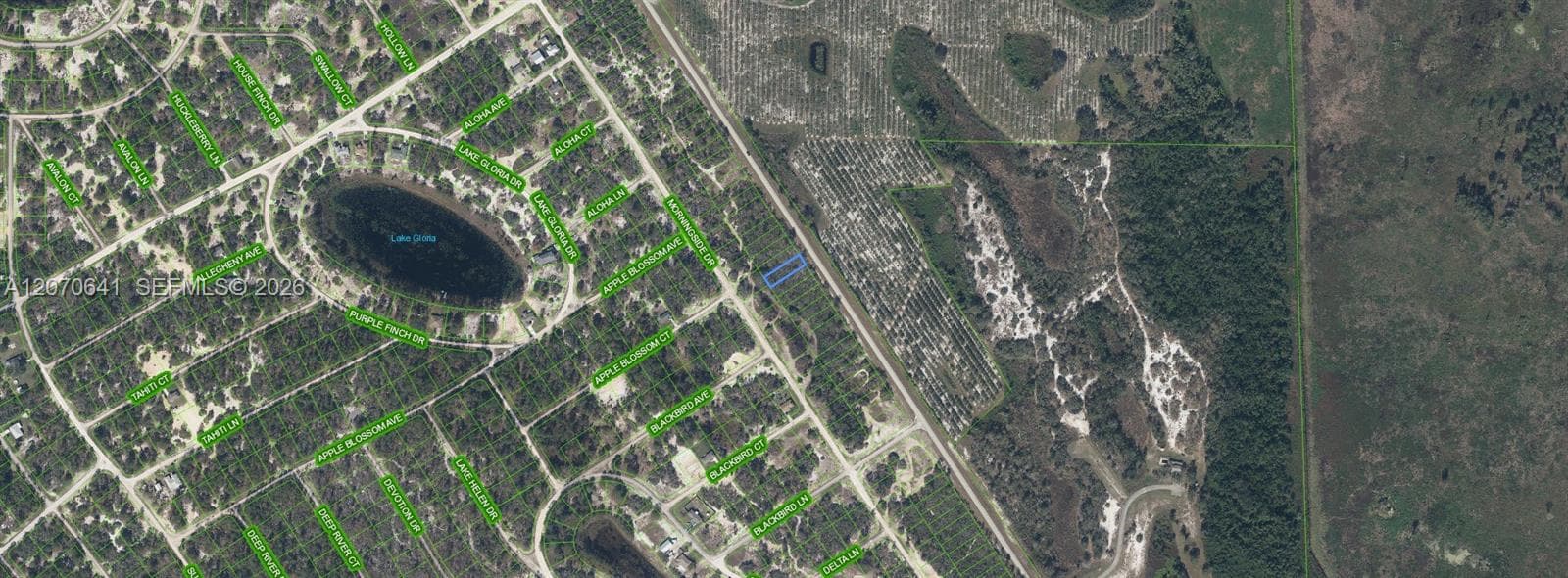 903 COUNTY ROAD 29, Lake Placid, FL 33852 — zdjęcie 3