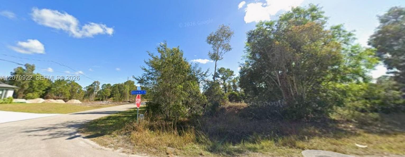 6020 Olive Ave N, Lehigh Acres, FL 33971 — zdjęcie 2