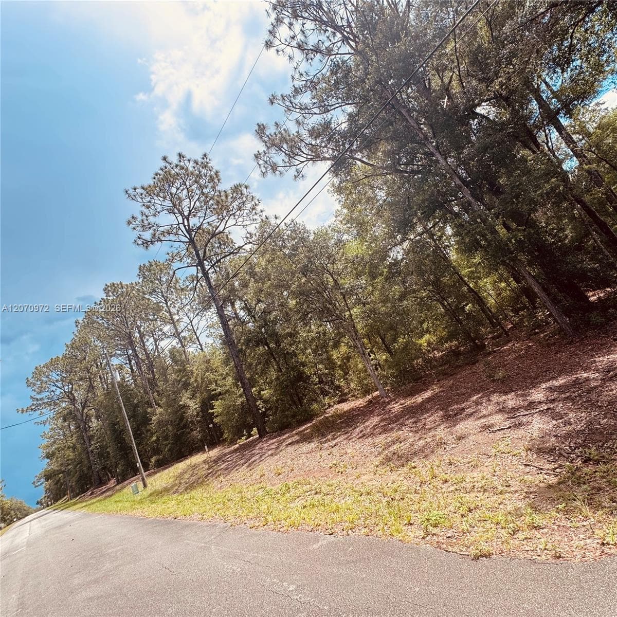 Undetermined SW 54 Street, Other City - In The State Of Florida, FL 34431 — zdjęcie 5
