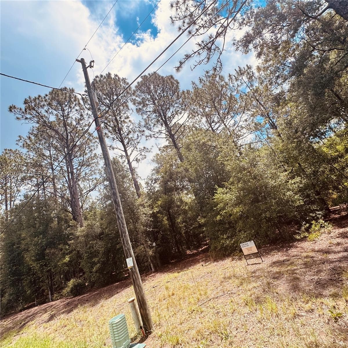 Undetermined SW 54 Street, Other City - In The State Of Florida, FL 34431 — zdjęcie 4