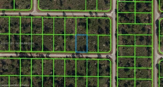 105 Citation St, Lake Placid, FL 33852 — zdjęcie 3