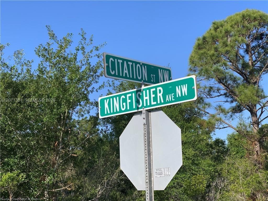 105 Citation St, Lake Placid, FL 33852 — zdjęcie 5