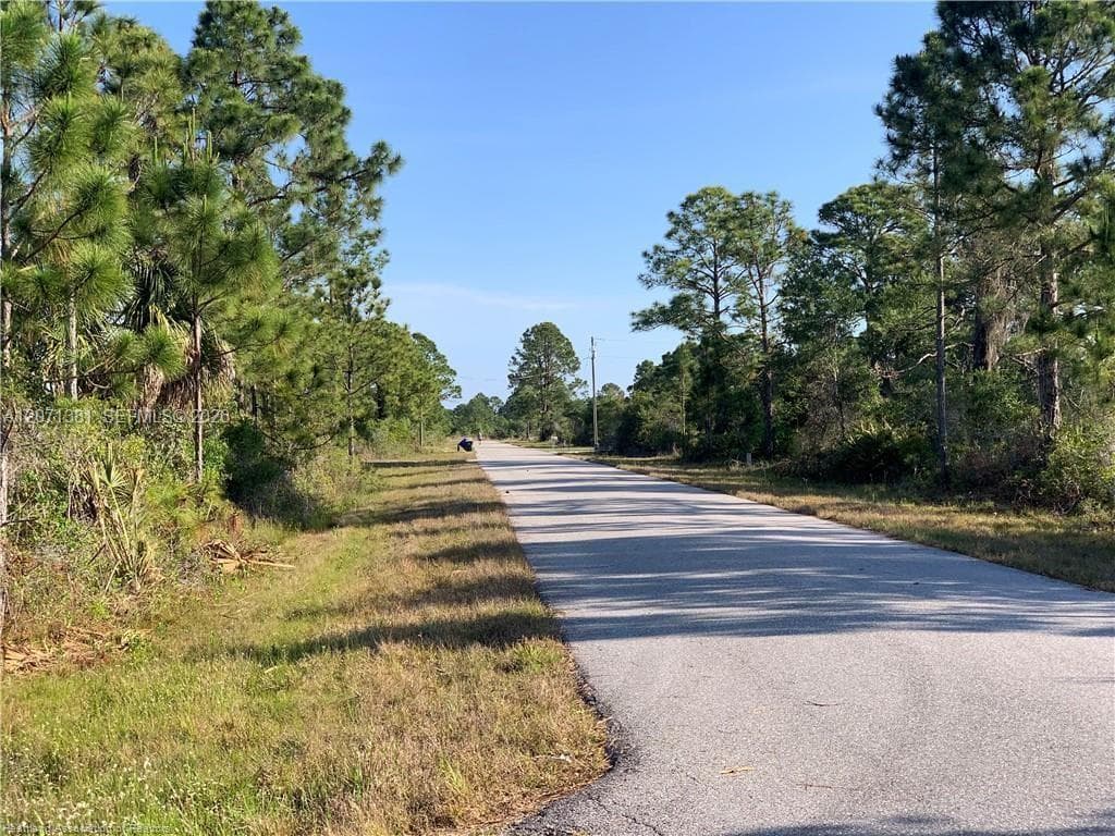 105 Citation St, Lake Placid, FL 33852 — zdjęcie 4