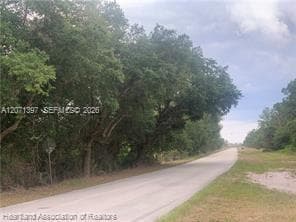 615 Wildflower Street, Lake Placid, FL 33852 — zdjęcie 2