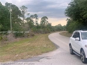 615 Wildflower Street, Lake Placid, FL 33852 — zdjęcie 3