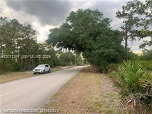 615 Wildflower Street, Lake Placid, FL 33852 — zdjęcie 5