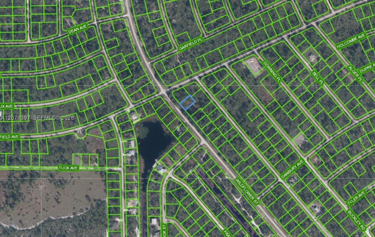 615 Wildflower Street, Lake Placid, FL 33852 — zdjęcie 4