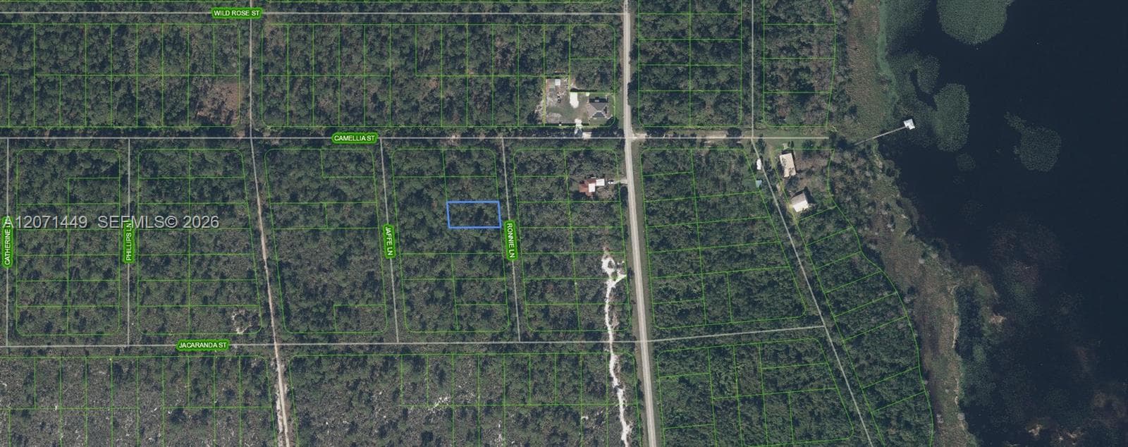 722 Ronnie Lane, Lake Placid, FL 33852 — zdjęcie 2