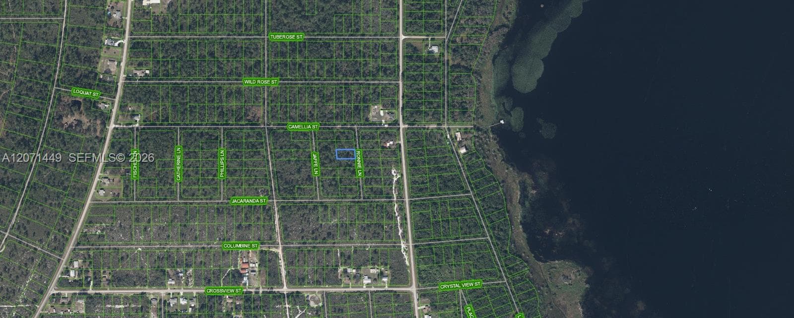 722 Ronnie Lane, Lake Placid, FL 33852 — zdjęcie 3