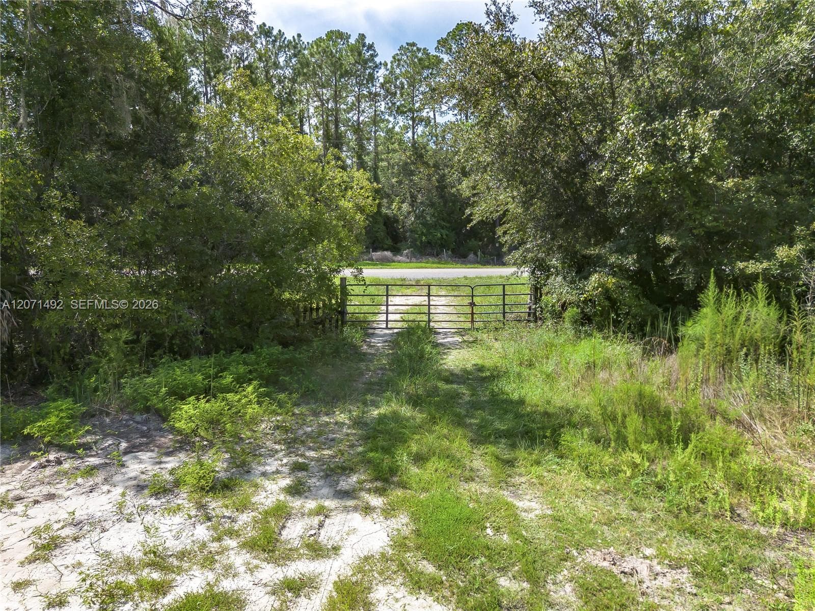 1369 Water Oak, Other City - In The State Of Florida, FL 32110 — zdjęcie 2