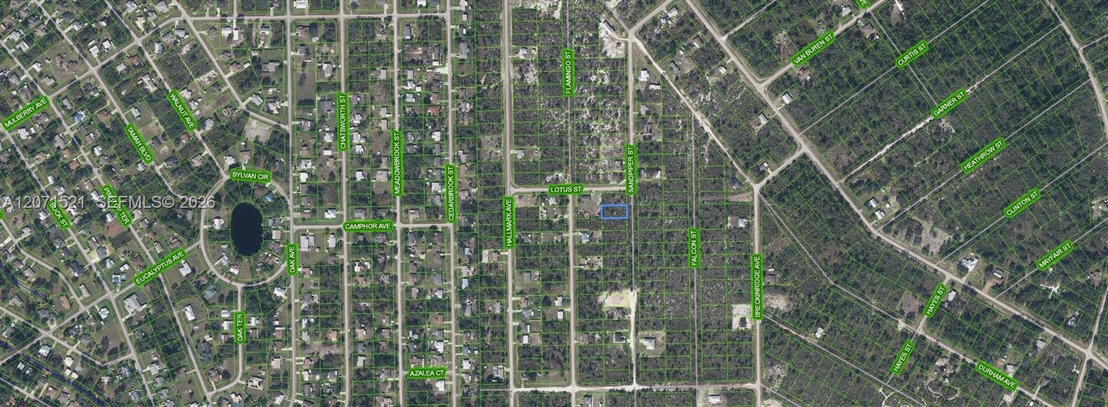 348 SANDPIPER ST, Lake Placid, FL 33852 — zdjęcie 2