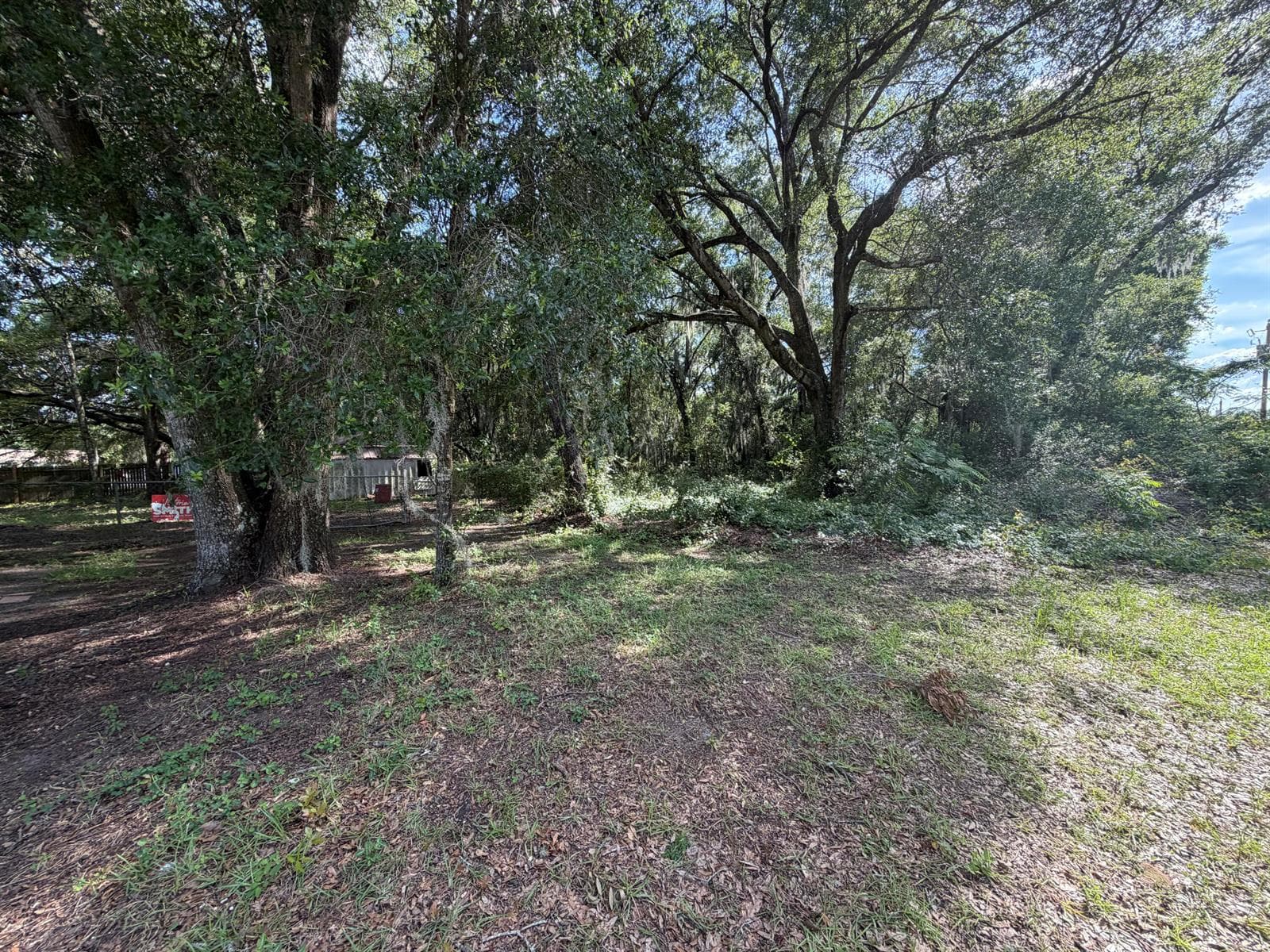 3920 E ALLENDALE Street, Inverness, FL 34453 — zdjęcie 4
