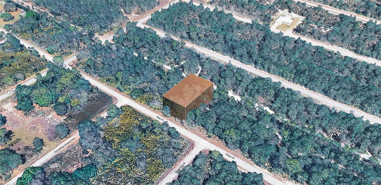 955 RIDGE ST, Lake Placid, FL 33852 — zdjęcie 2