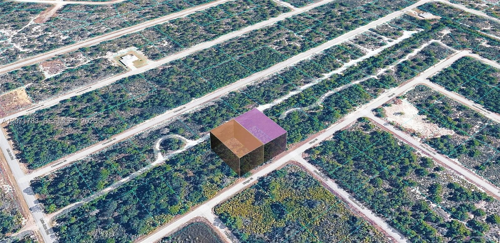 955 RIDGE ST, Lake Placid, FL 33852 — zdjęcie 5