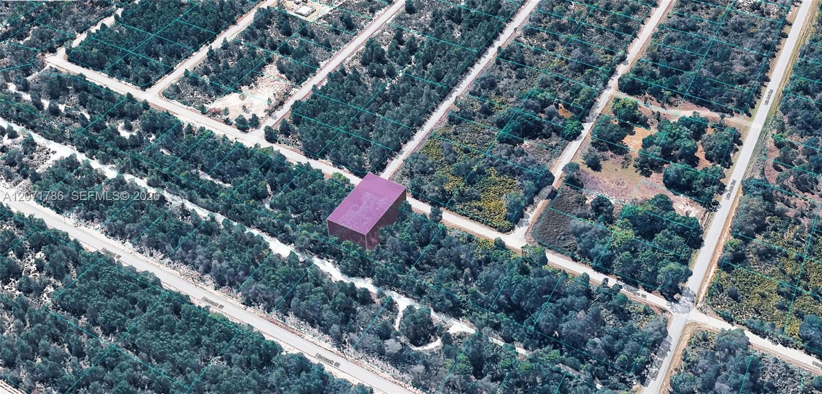 953 RIDGE ST, Lake Placid, FL 33852 — zdjęcie 4