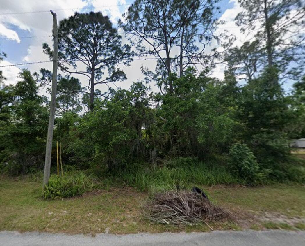 456 Bonnie Road NW, Lake Placid, FL 33852 — zdjęcie 2