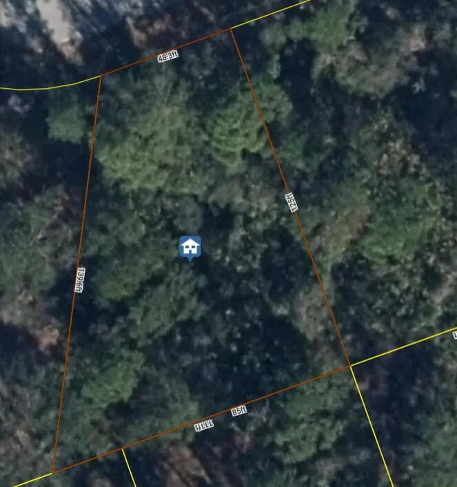 456 Bonnie Road NW, Lake Placid, FL 33852 — zdjęcie 3