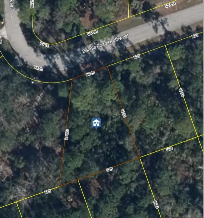 456 Bonnie Road NW, Lake Placid, FL 33852 — zdjęcie 4