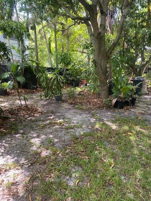 425 NW 7TH, Fort Lauderdale, FL 33311 — zdjęcie 4