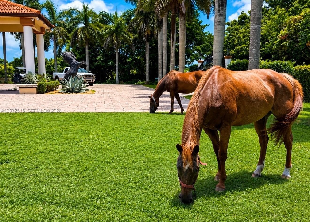 19701 SW 197th Ave, Miami, FL 33187 — zdjęcie 3