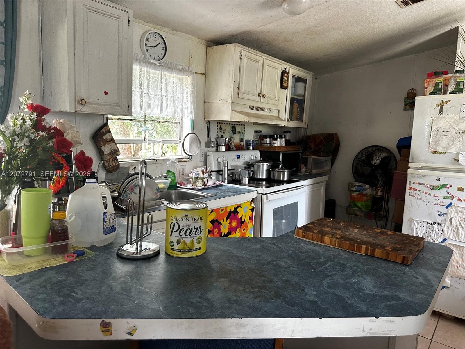 635 N FRONDA, Clewiston, FL 33440 — zdjęcie 5