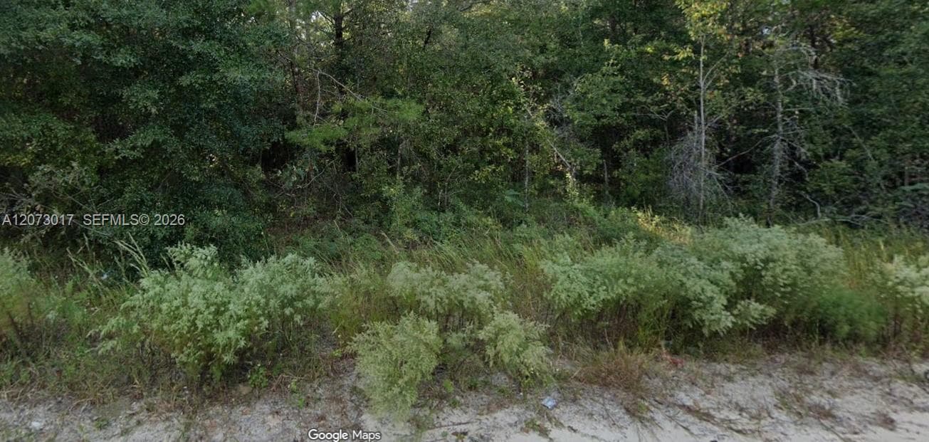 7696 Casa Grande Blvd, Other City - In The State Of Florida, FL 32656