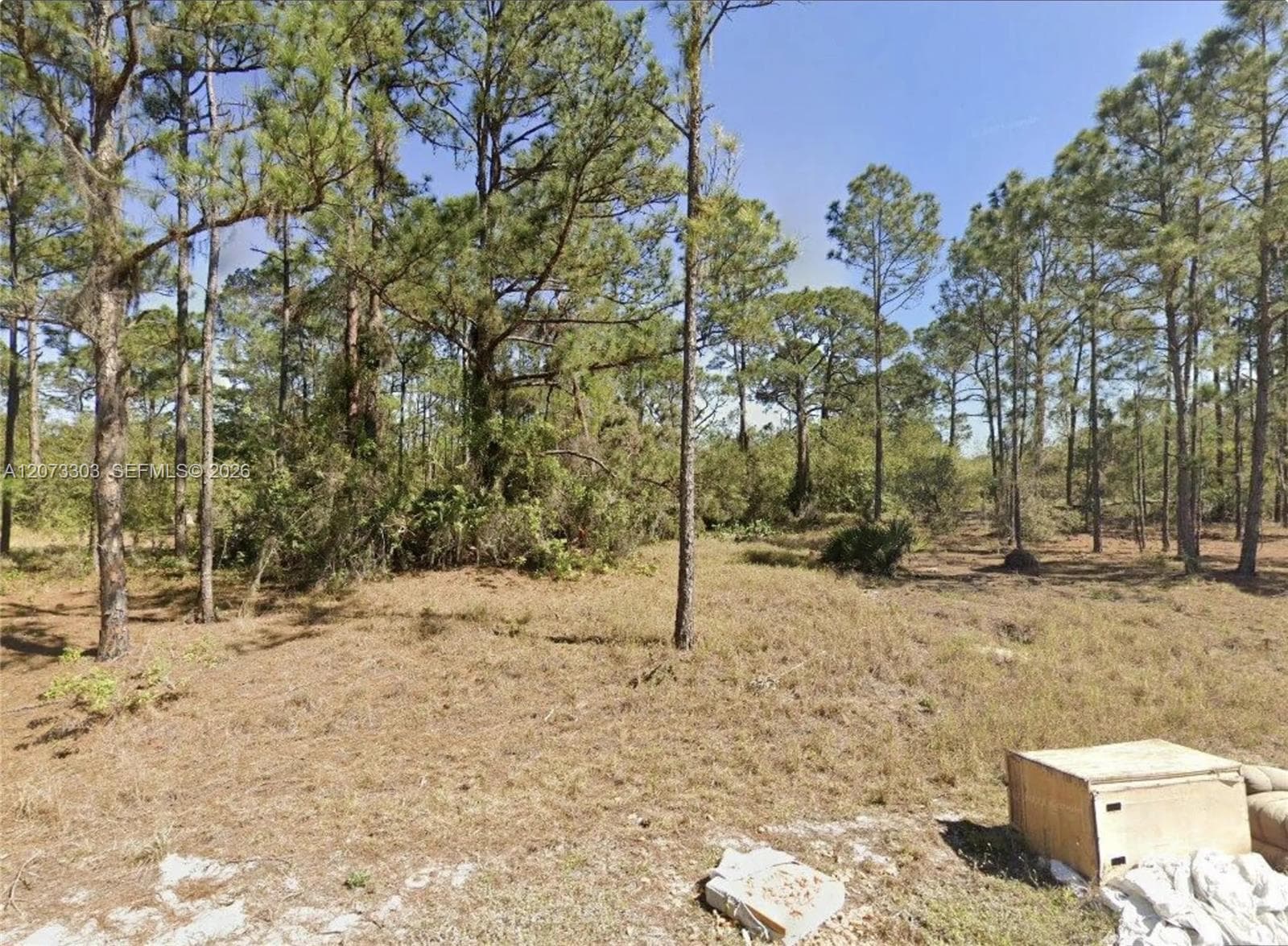 613 Lynn court, Lake Placid, FL 33852