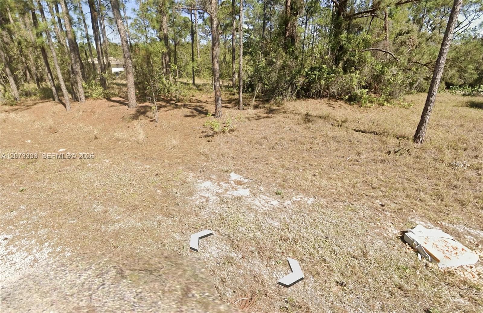 613 Lynn court, Lake Placid, FL 33852 — zdjęcie 5