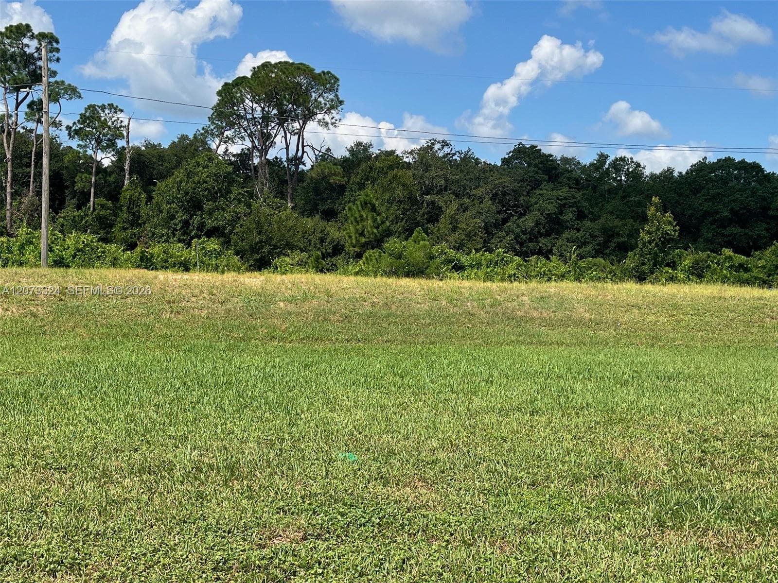 1050 Lake Carrie Dr, Lake Placid, FL 33852 — zdjęcie 3