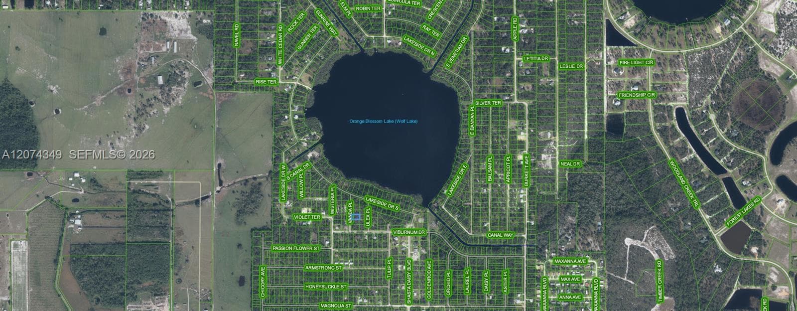 6814 Vanda Place, Sebring, FL 33875 — zdjęcie 3