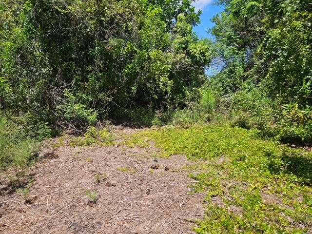 1762 SW COCHRAN Street, Port St. Lucie, FL 34953 — zdjęcie 4